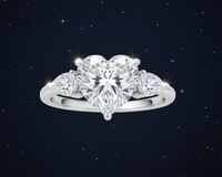 2ct Eternal Devotion Close-up Banner